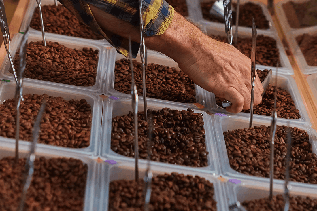 Coffee Roasting Explained: Light, Medium and Dark Roast - CafePod