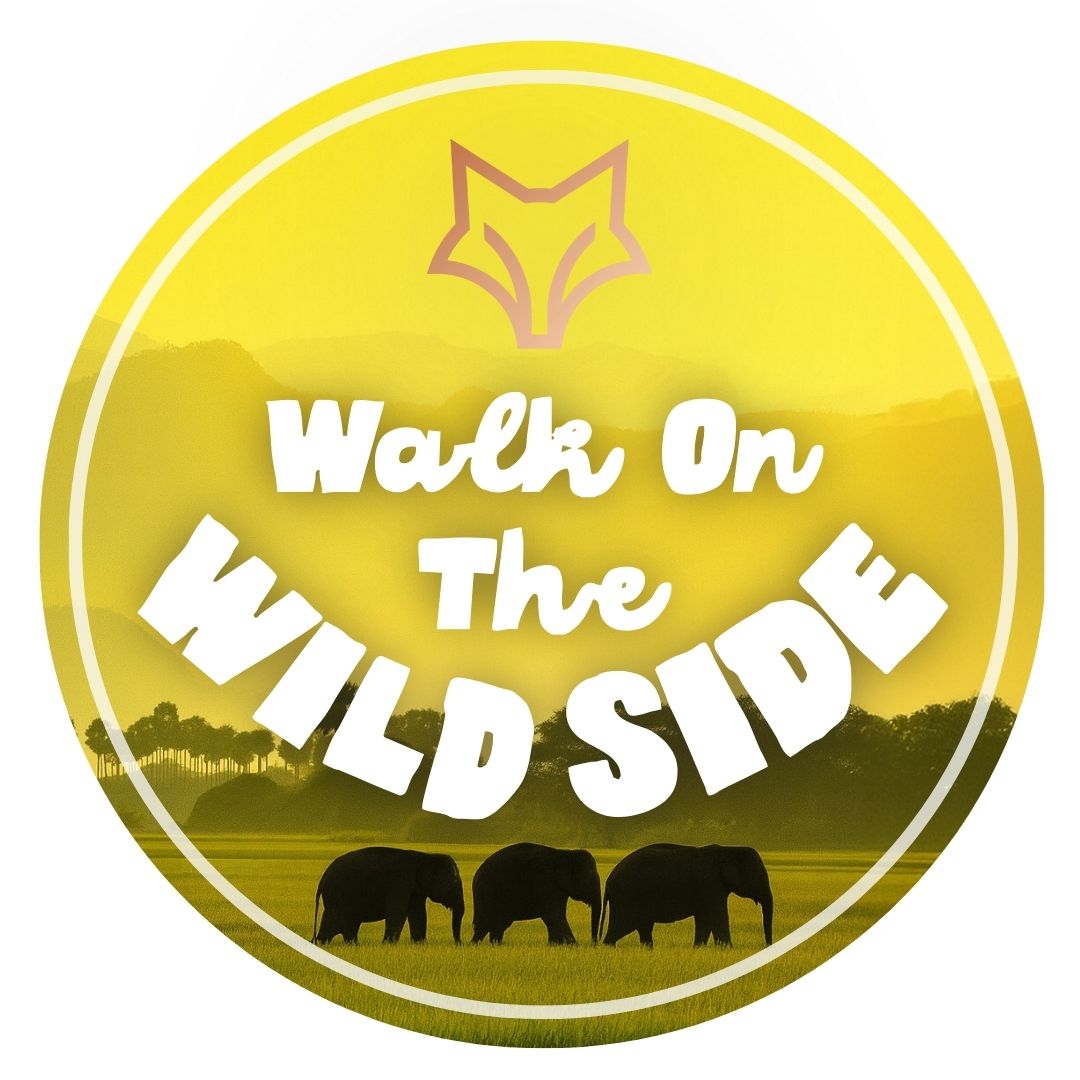 Walk on the Wild Side