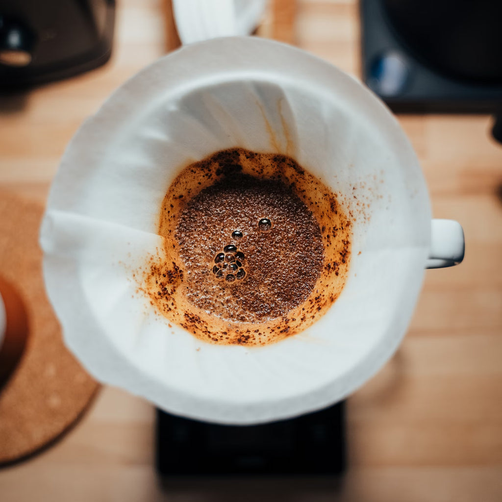 Hario V60 Plastic Coffee Dripper - Size 01